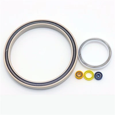 PTFE Spring Energized Asta Seal